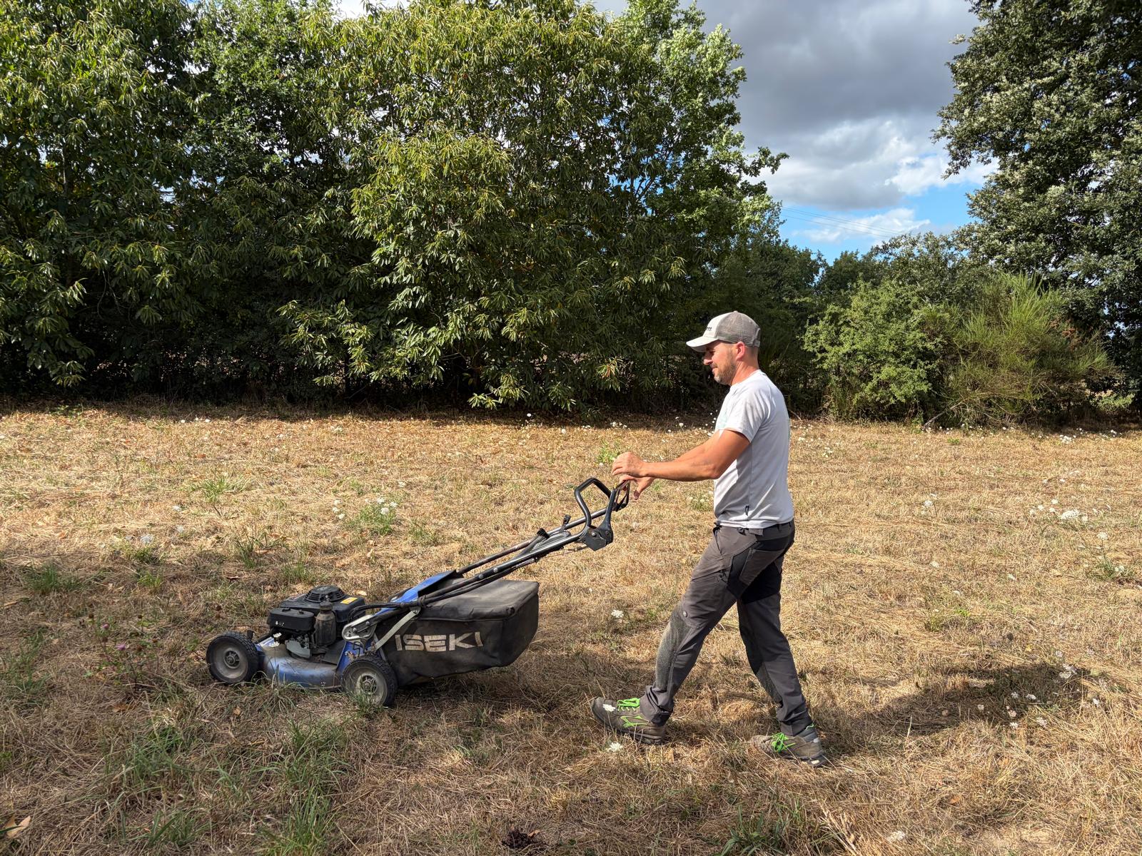 Tonte d'un terrain par Empreinte Nature